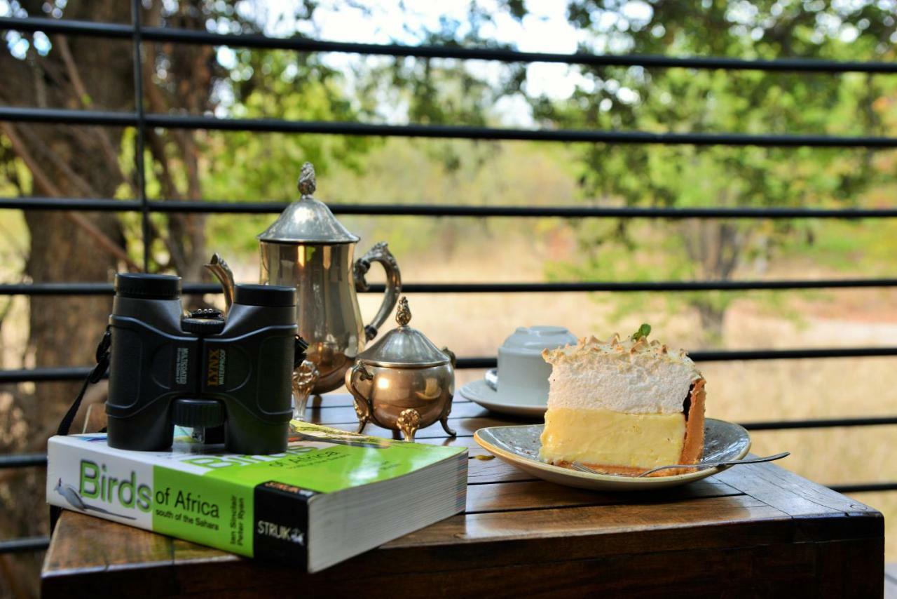 Bushveld Terrace Safari Hotel, Lodge & Spa بهالابوروا المظهر الخارجي الصورة